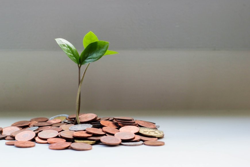 Bad Money Habits to Avoid for a Healthier Financial Future