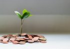 Tax-Advantaged Retirement Accounts: Maximizing Your 2025 Contributions