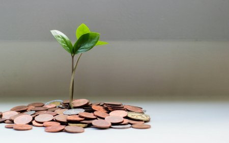Tax-Advantaged Retirement Accounts: Maximizing Your 2025 Contributions