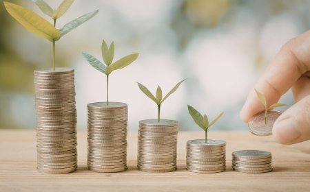 High-Yield Savings vs. Simple Index Funds: Which "Set-It-and-Forget-It" Option Wins for Beginners?