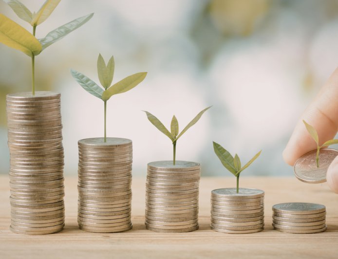 High-Yield Savings vs. Simple Index Funds: Which "Set-It-and-Forget-It" Option Wins for Beginners?