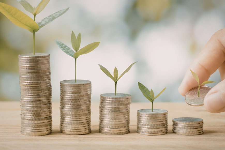 High-Yield Savings vs. Simple Index Funds: Which "Set-It-and-Forget-It" Option Wins for Beginners?