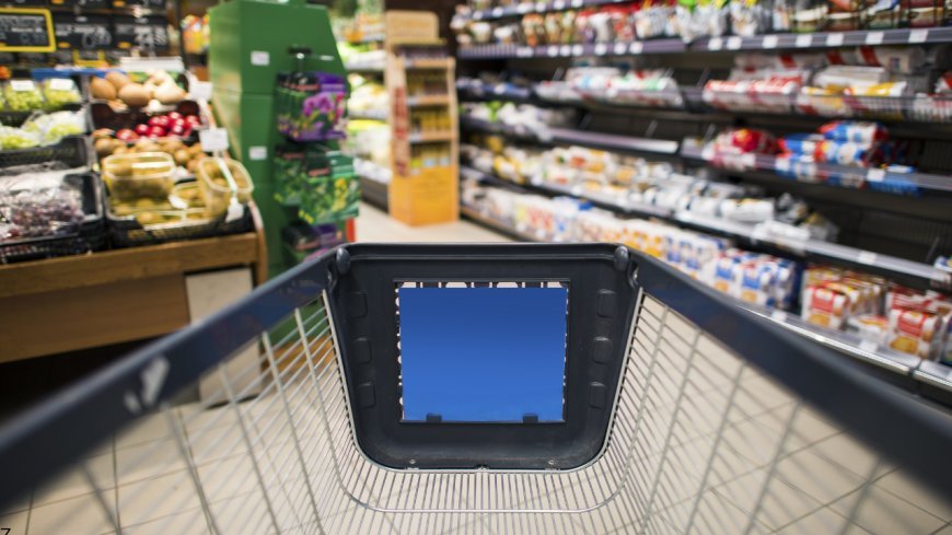 Updated 2026: You’ll Be Shocked at How Much Americans Spend on Groceries Each Month!