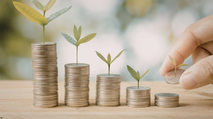 High-Yield Savings vs. Simple Index Funds: Which "Set-It-and-Forget-It" Option Wins for Beginners?