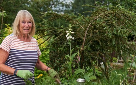 Affordable Hobbies That Can Make Retirement More Enjoyable