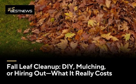 Fall Leaf Cleanup: DIY, Mulching, or Hiring Out—What It Really Costs