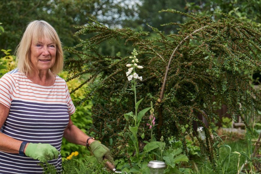 Affordable Hobbies That Can Make Retirement More Enjoyable