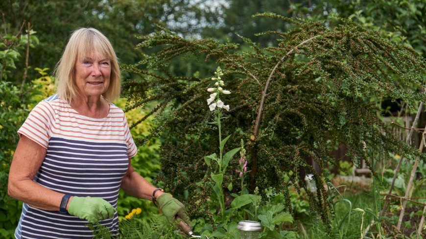 Affordable Hobbies That Can Make Retirement More Enjoyable